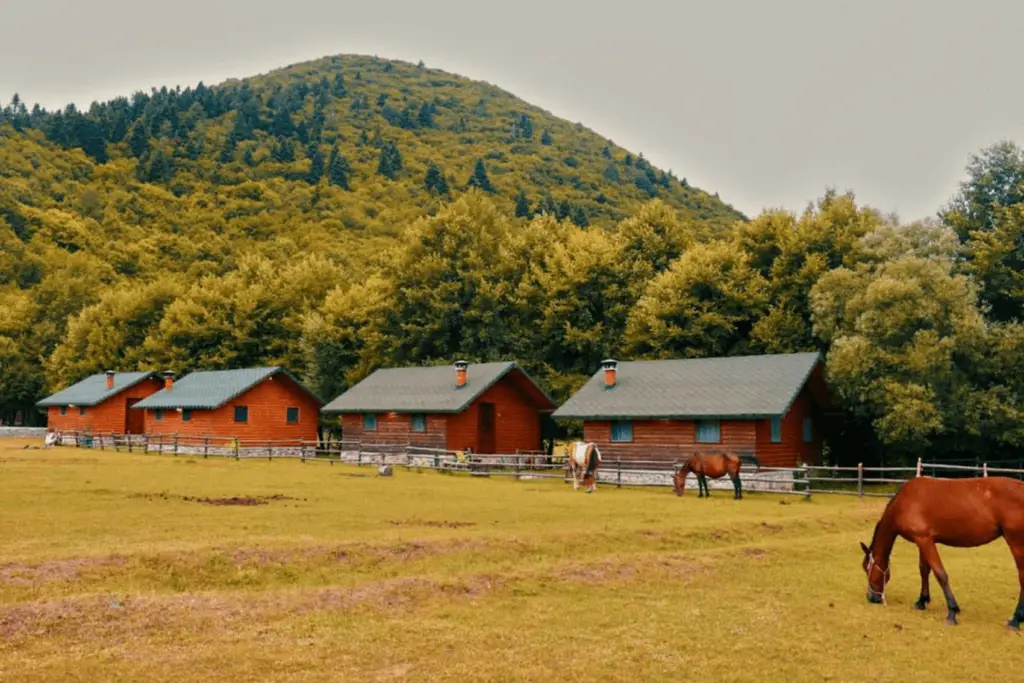 Agritourism Farms in Albania - Farma Sotira - Leskovik